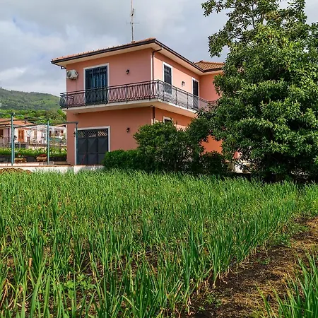 Bed & Breakfast Bee Happy - Zafferana Etnea
