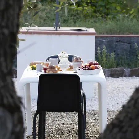 Bee Happy - Bed & Breakfast